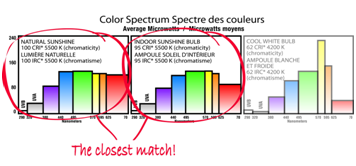 Ampoule Daylight économie d'énergie (6500 kelvin) 